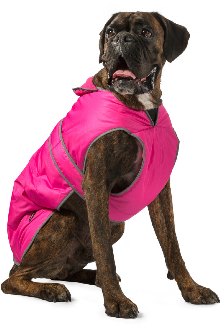 Ancol Dog Jackets & Accessories