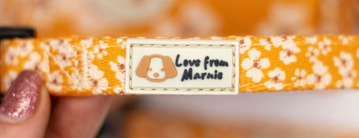 Special End of Month Offer!!
- Love from Marnie Orange Blossom Harness & Collar Set