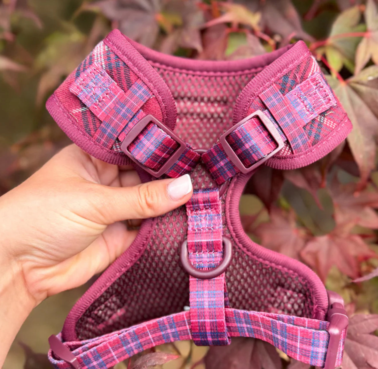 Cocopup London Harness - Mulberry Plaid