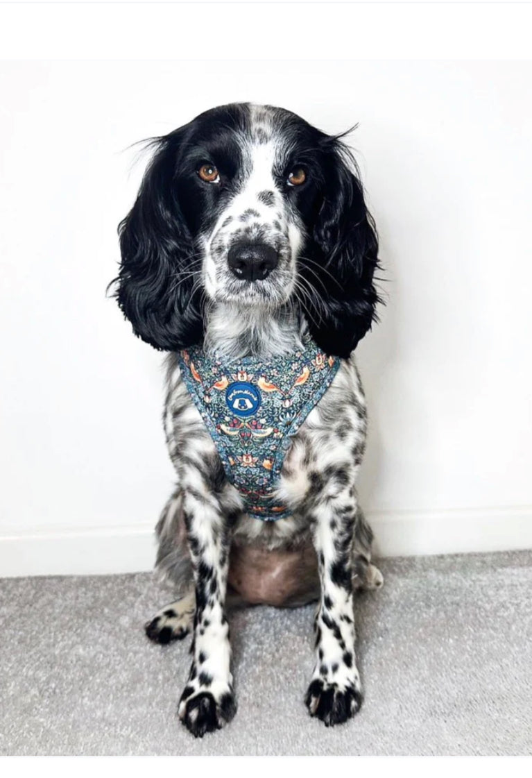 Love From Marnie Adjustable Harness - Strawberry Thief Blue