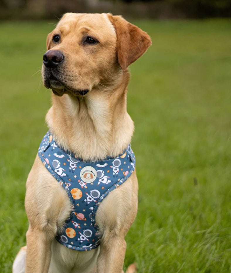 Love From Marnie Adjustable Harness - Outer Space