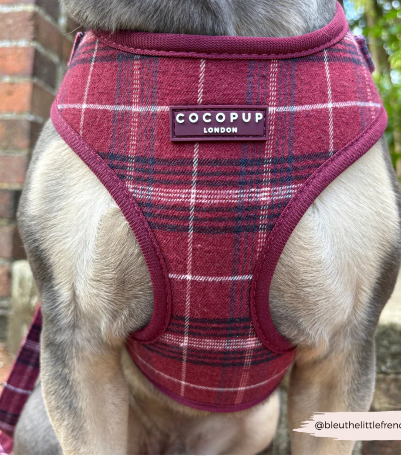 Cocopup London Harness - Mulberry Plaid