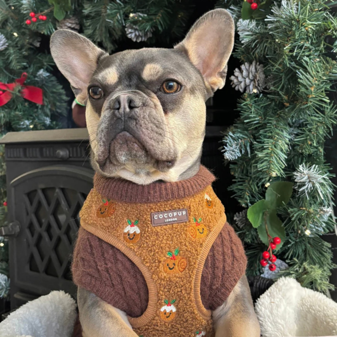 Cocopup London Festive Pudding Adjustable Harness