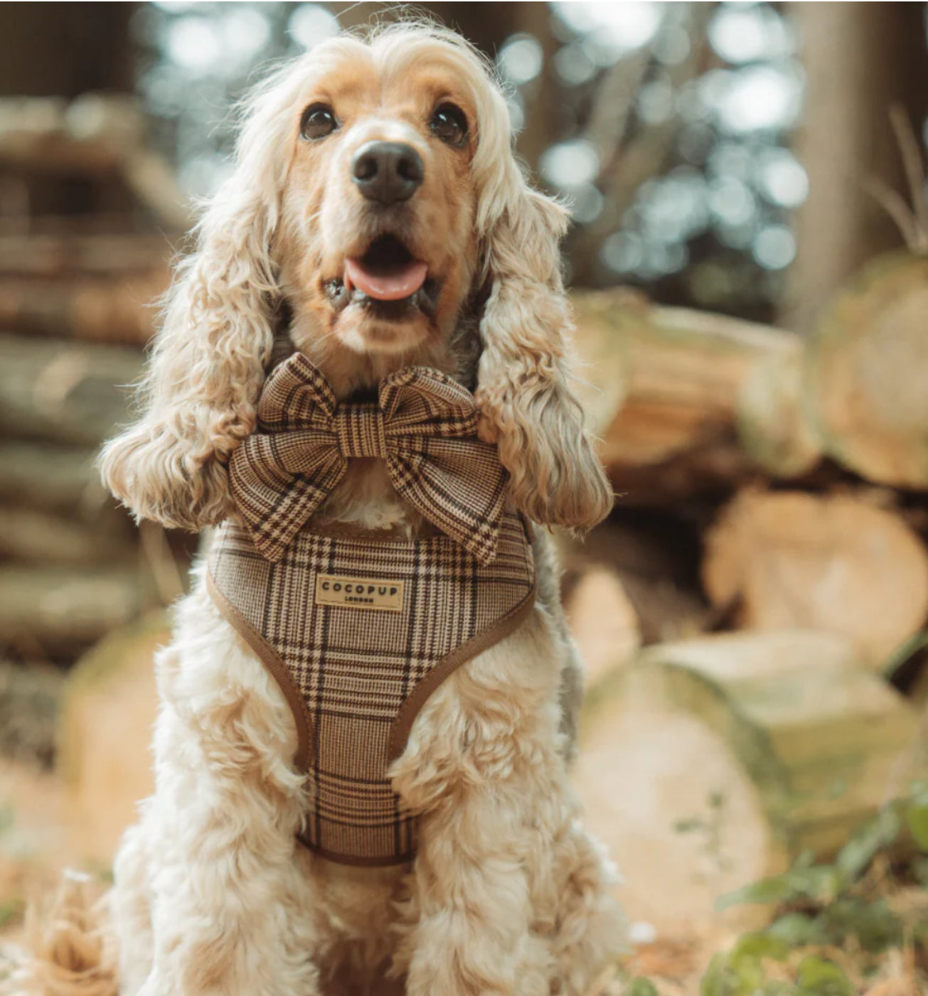 Cocopup London Adjustable Neck Harness - Pup Plaid