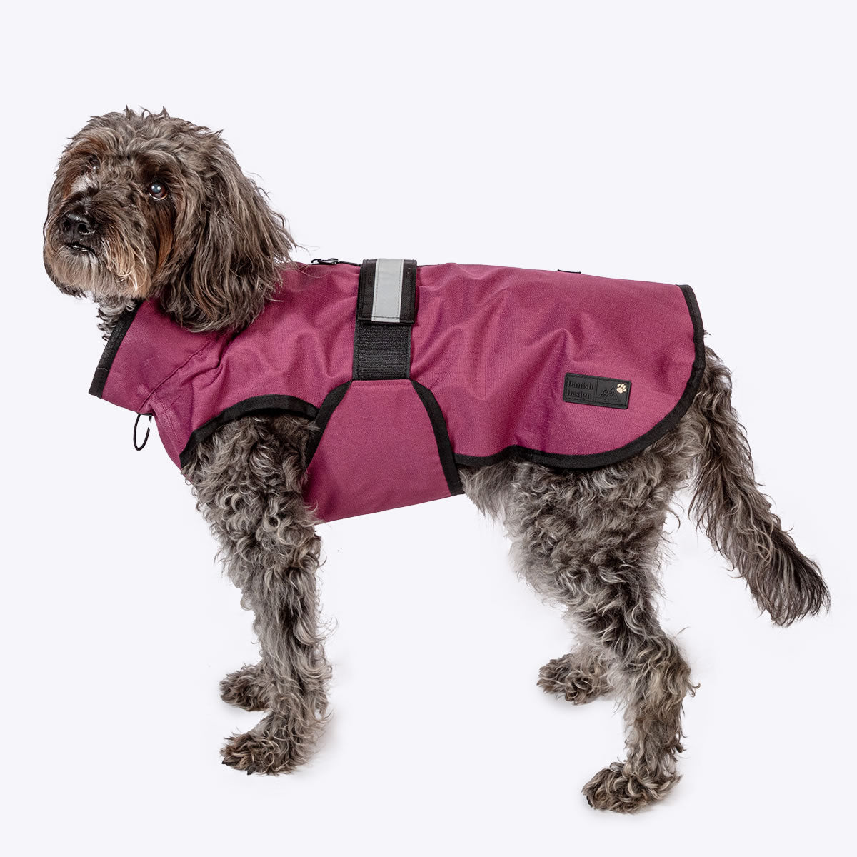 Danish Design 3 n 1 Dog Jacket Burgandy