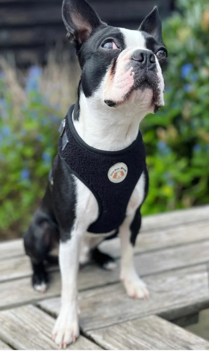 Love From Marnie Adjustable Harness Fleece Black