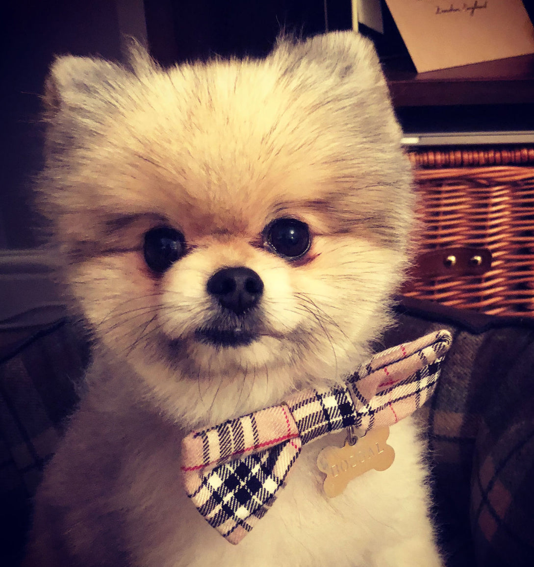 Pet Pooch Boutique Barkberry Plaid Tartan Bow Tie