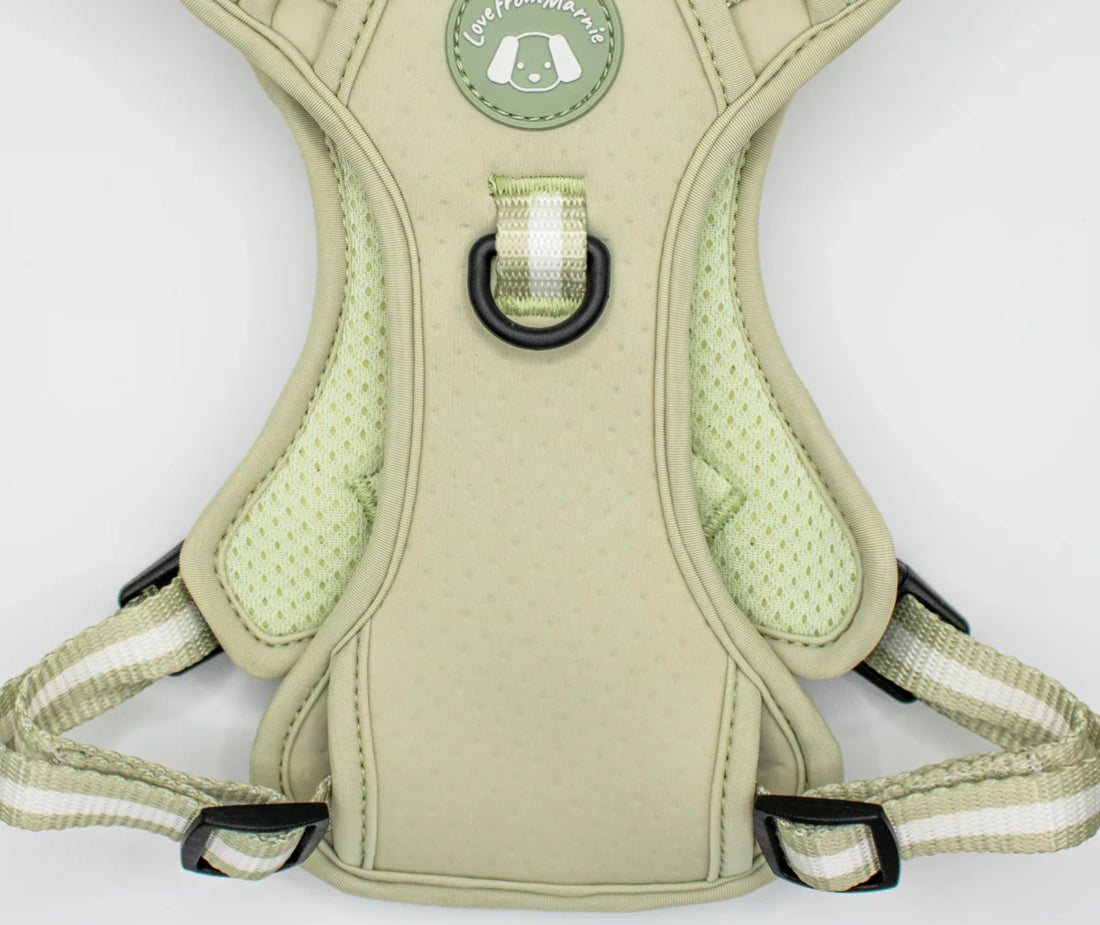 Love From Marnie Dynamic Harness - Pistachio