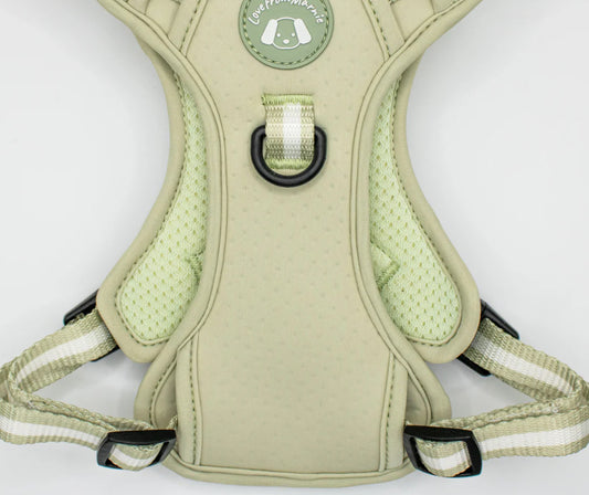 Love From Marnie Dynamic Harness - Pistachio