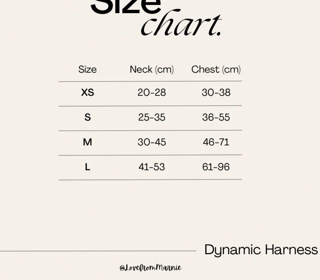 Love From Marnie Dynamic Harness - Pistachio