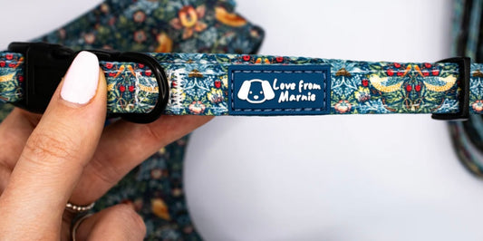 Love From Marnie Collar Strawberry Thief blue