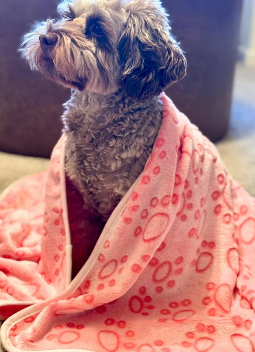 Pup Club Couture Pet Blanket - Pink Paws Medium