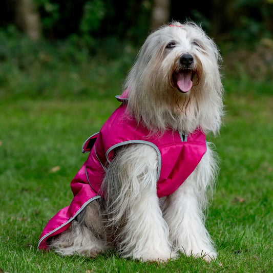Ancol Stormguard Dog Jacket Pink