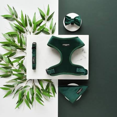 Cocopup London Collar - Luxe Velvet Forrest Green