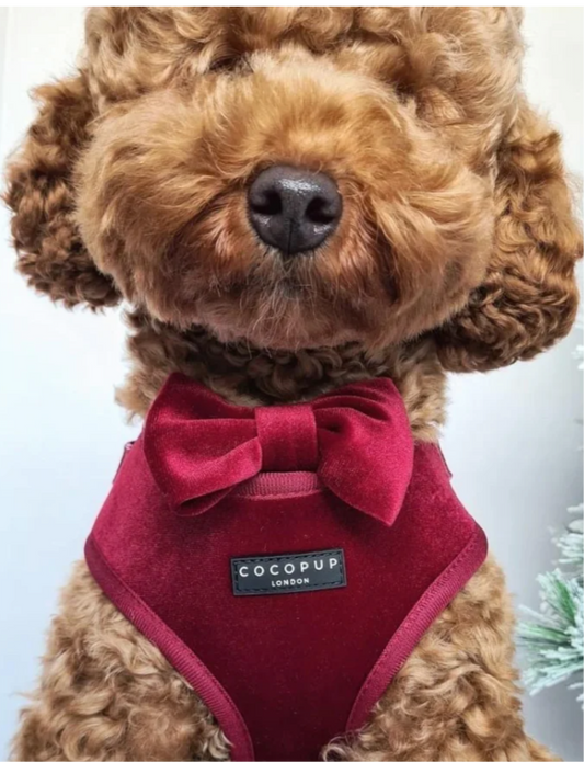 Cocopup London Luxe Velvet - Berry Red Bow Tie