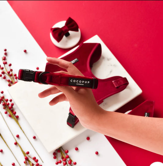 Cocopup London Collar - Luxe Velvet - Berry `Red