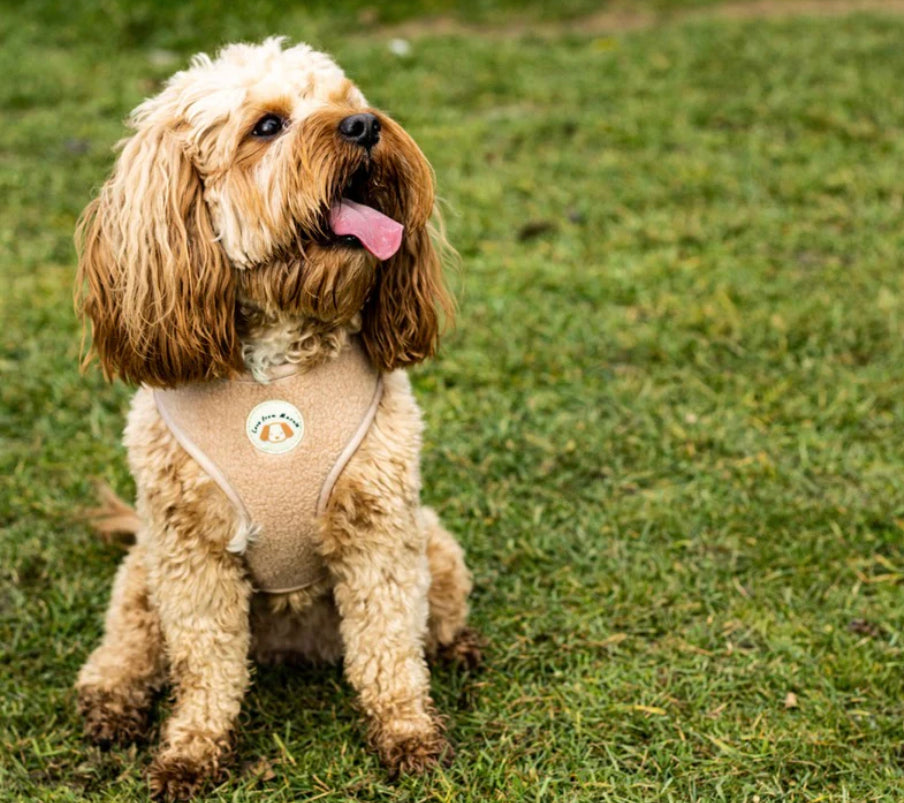 Love From Marnie Adjustable Harness - Fleece Latte