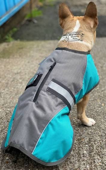 Animate Dog Coat Grey/Teal