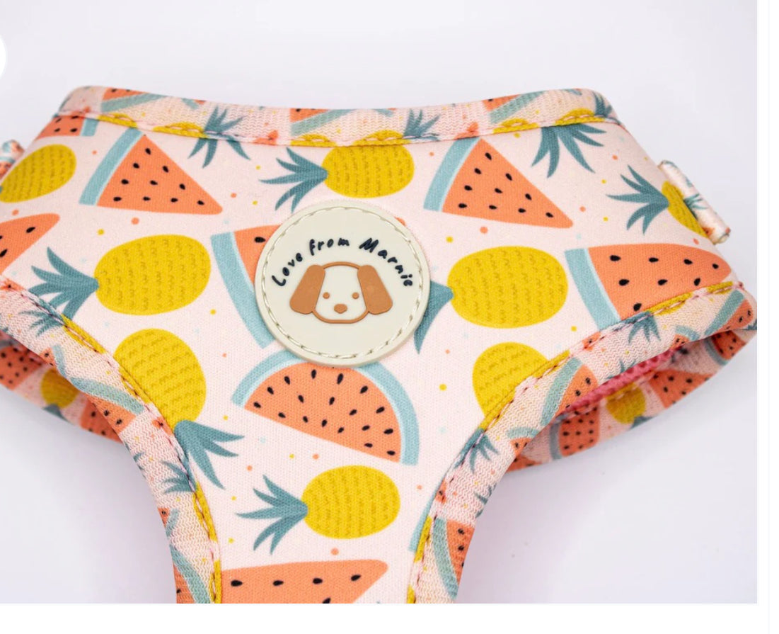 Love From Marnie Adjustable Harness - Fruitalicious