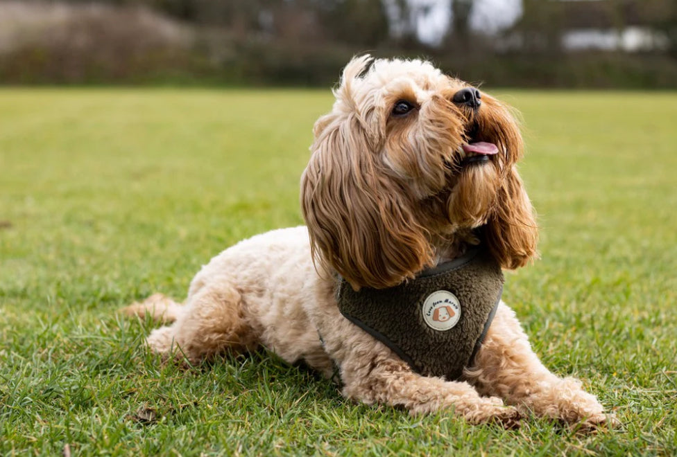 Love From Marnie Adjustable Harness - Fleece Olive