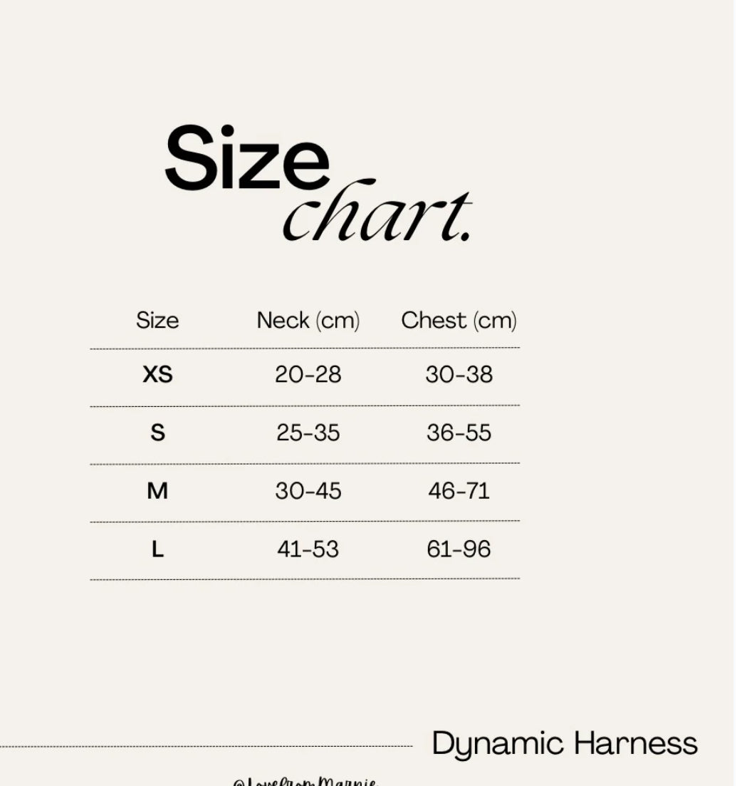 Love From Marnie Dynamic Harness- Periwinkle