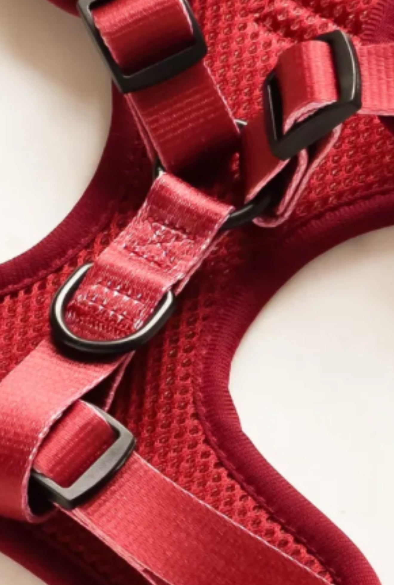 Cocopup London Adjustable Neck Harness - Luxe Velvet - Berry Red