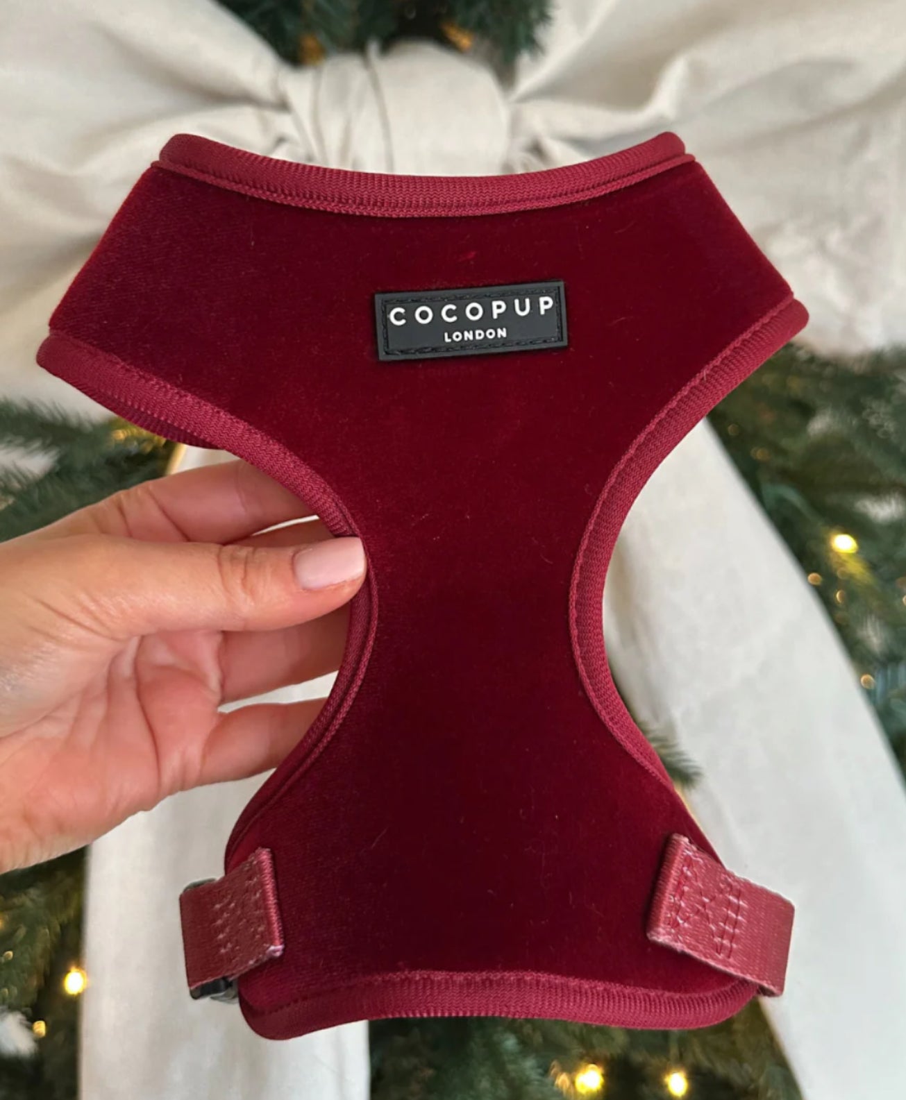 Cocopup London Adjustable Neck Harness - Luxe Velvet - Berry Red