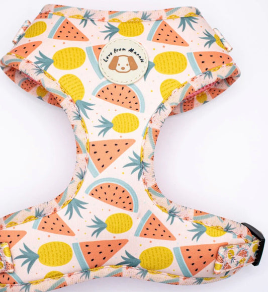 Love From Marnie Adjustable Harness - Fruitalicious