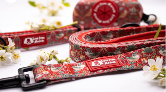 Love From Marnie Collar - Strawberry Thief