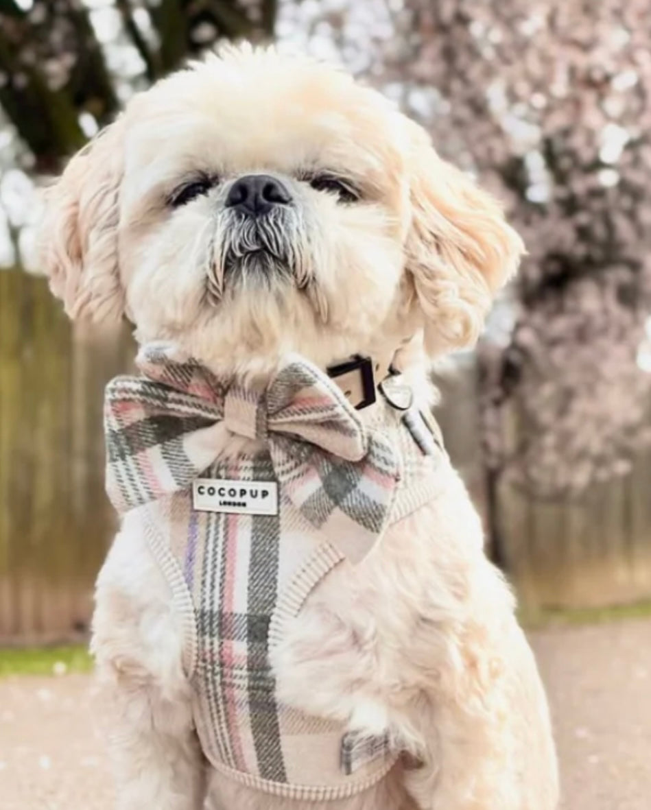 Cocopup London Adjustable Neck Harness - Oxford Plaid