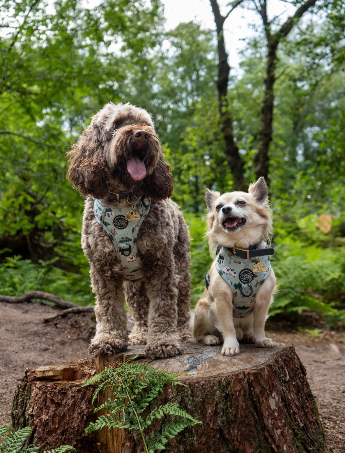 Murphy & Bailey Adjustable Harness - Woolly Danders