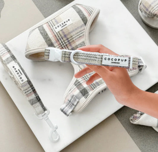 Cocopup London Collar - Oxford Plaid