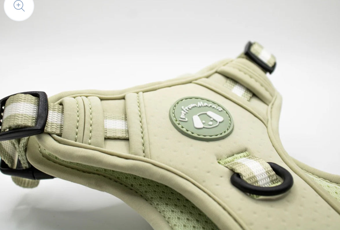 Love From Marnie Dynamic Harness - Pistachio