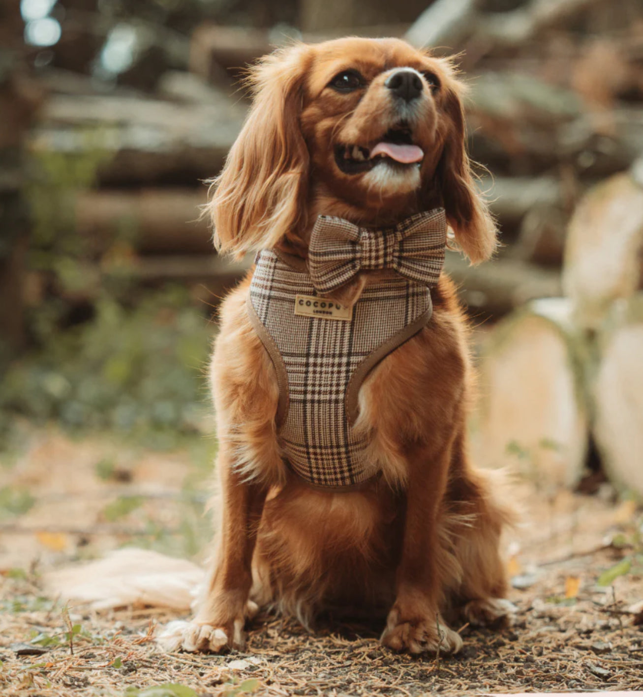 Cocopup London Adjustable Neck Harness - Pup Plaid