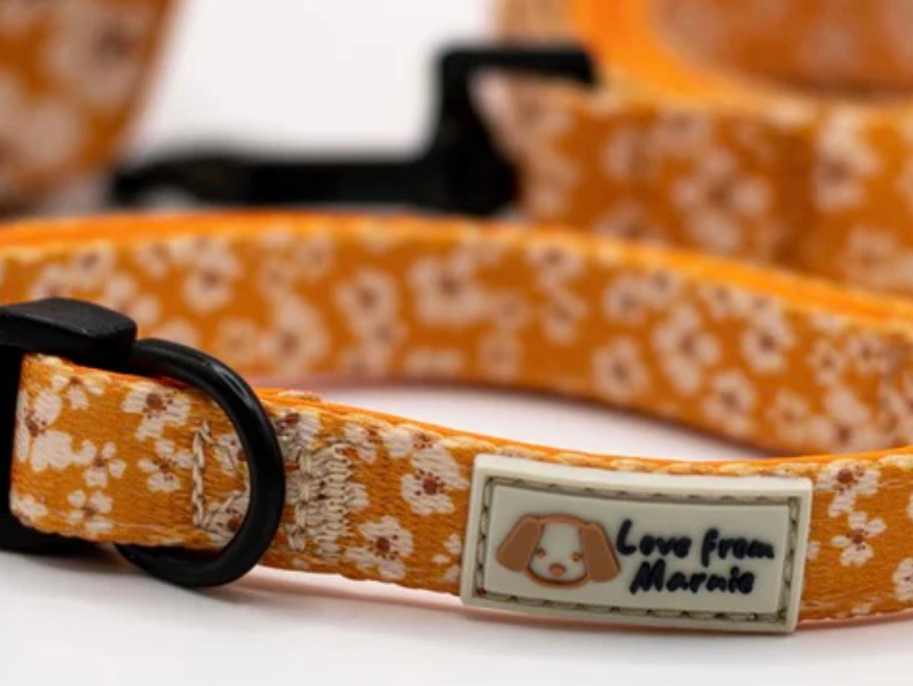 Special End of Month Offer!!
- Love from Marnie Orange Blossom Harness & Collar Set
