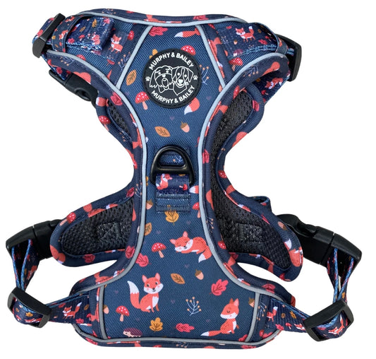 Murphy & Bailey Explore Harness - Let’s get foxy!