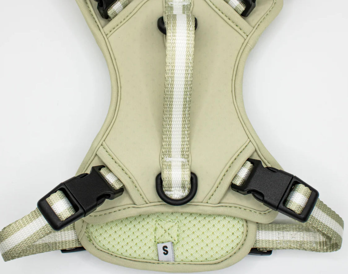 Love From Marnie Dynamic Harness - Pistachio