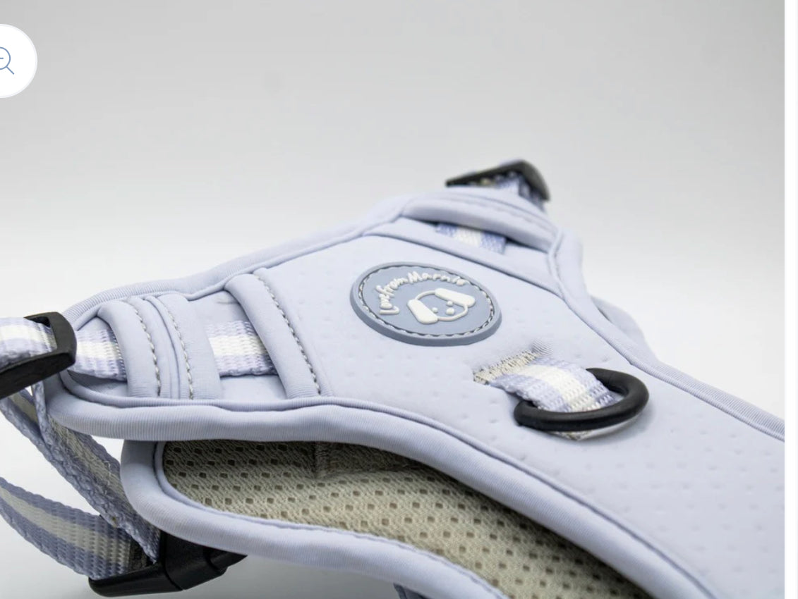 Love From Marnie Dynamic Harness- Periwinkle