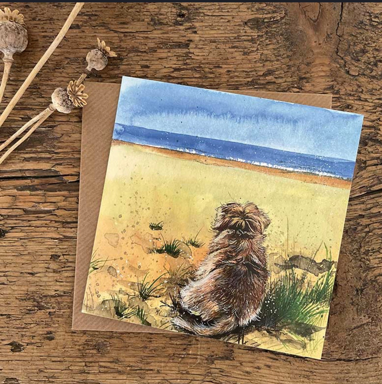 Alex Clark - Looking out to Sea Blank Card