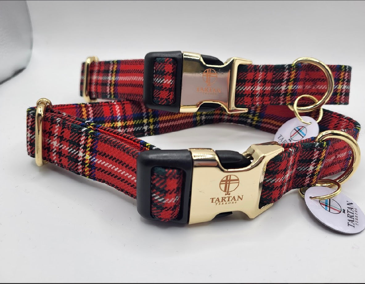 Tartan Terrors Royal Stewart (Black) Tartan Collar