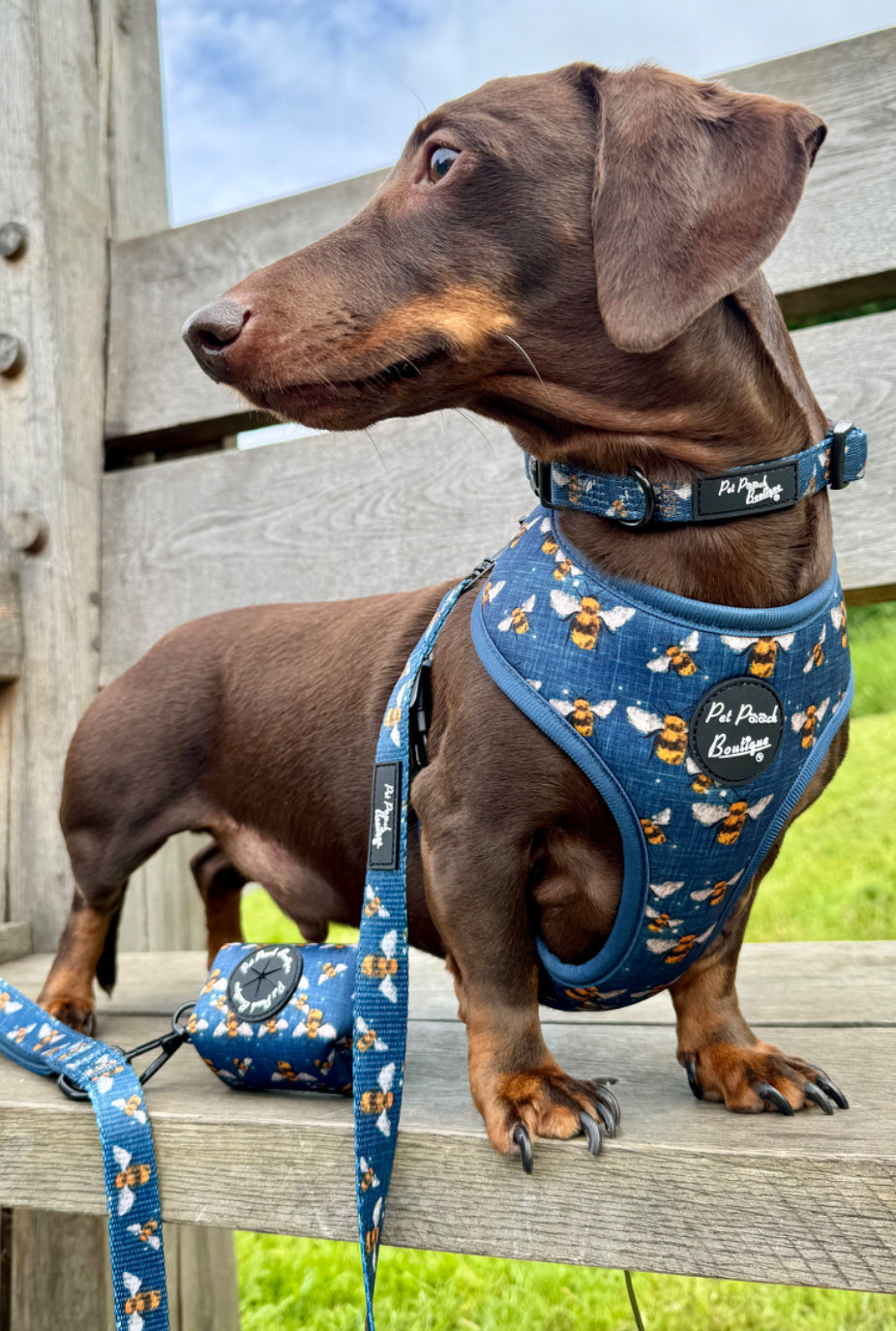 Pet Pooch Boutique - BLUE BUZZY BUMBLE BEE DOG POO BAG HOLDER