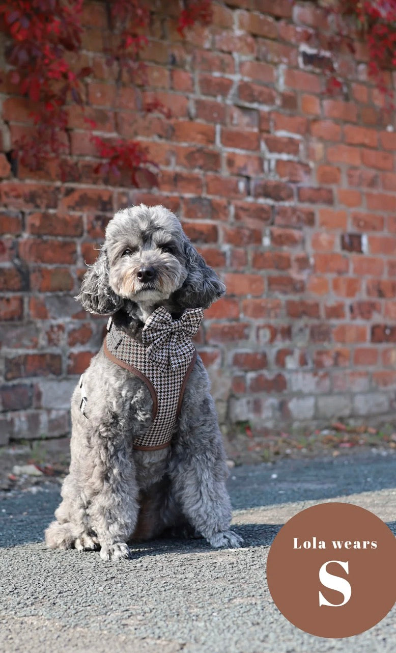 Paw Couture Country Houndstooth Adjustable Harness