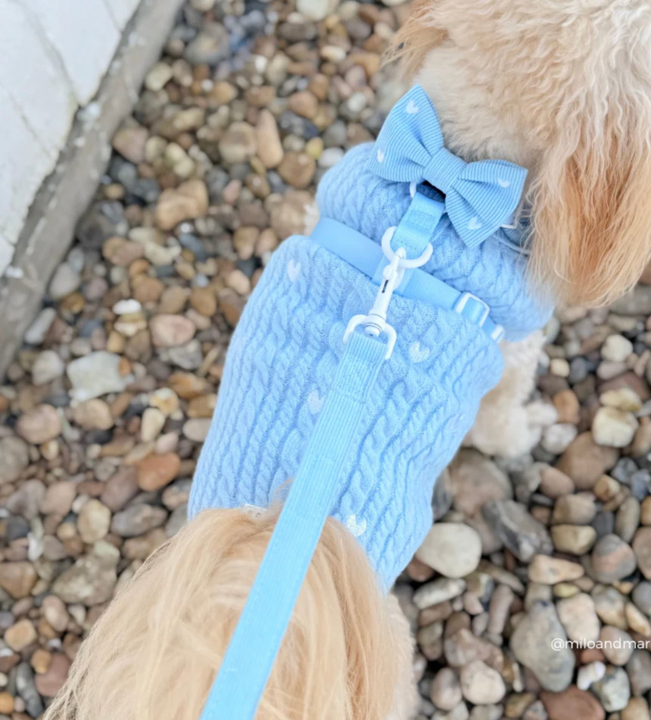 Cocopup London Jumper Cable Knit Blue Heartstrings