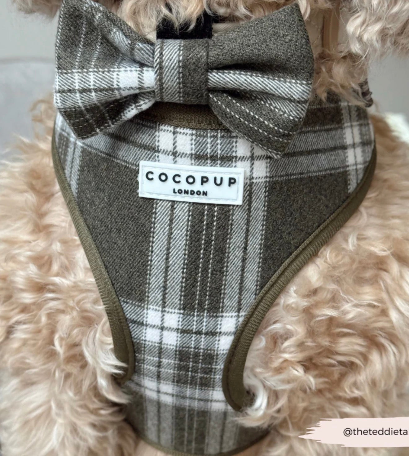 Cocopup London Olive Check Bow Tie