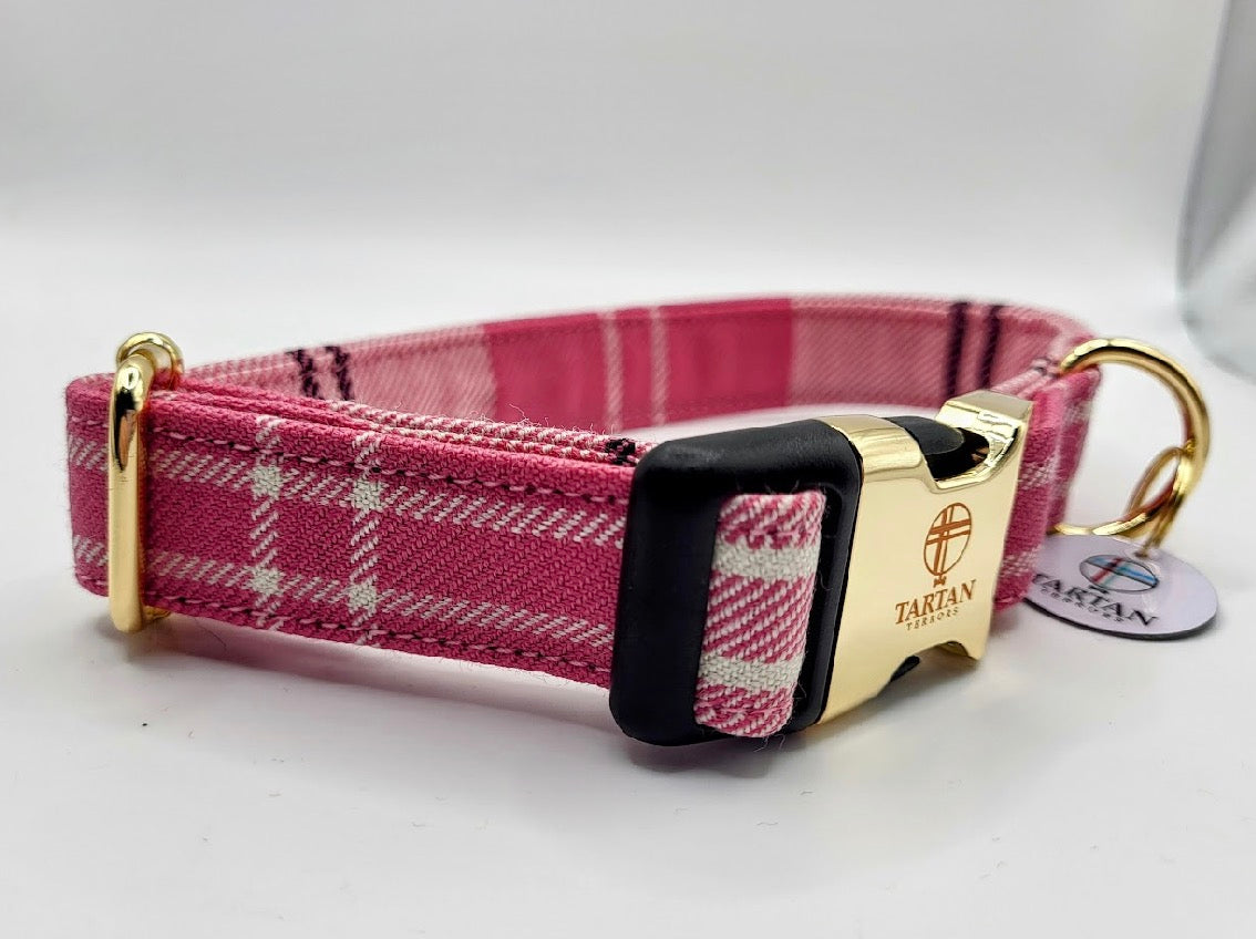 Tartan Terrors Ailsa Dance Tartan Collar