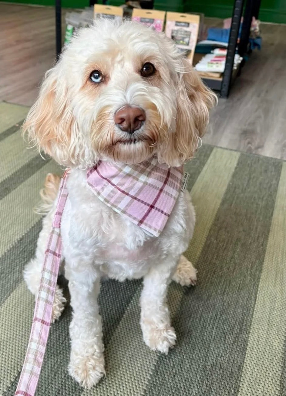 PinkBerry Check Dog Bandana