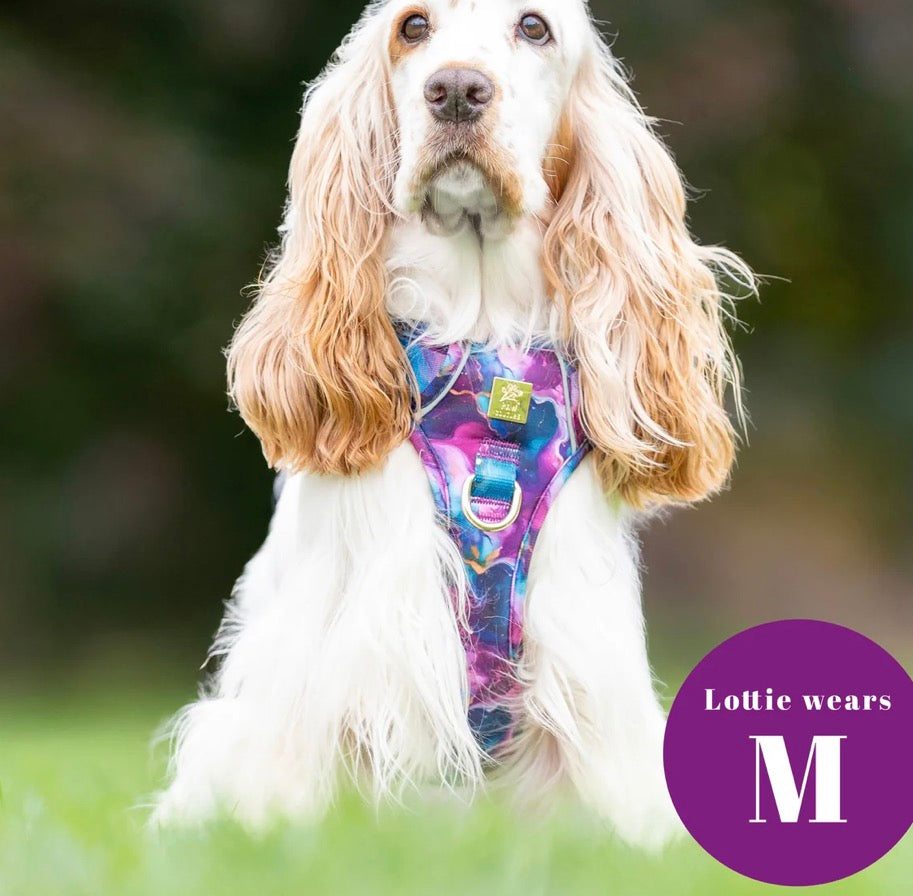 Paw Couture Cosmos Deluxe TrailBlazer Harness