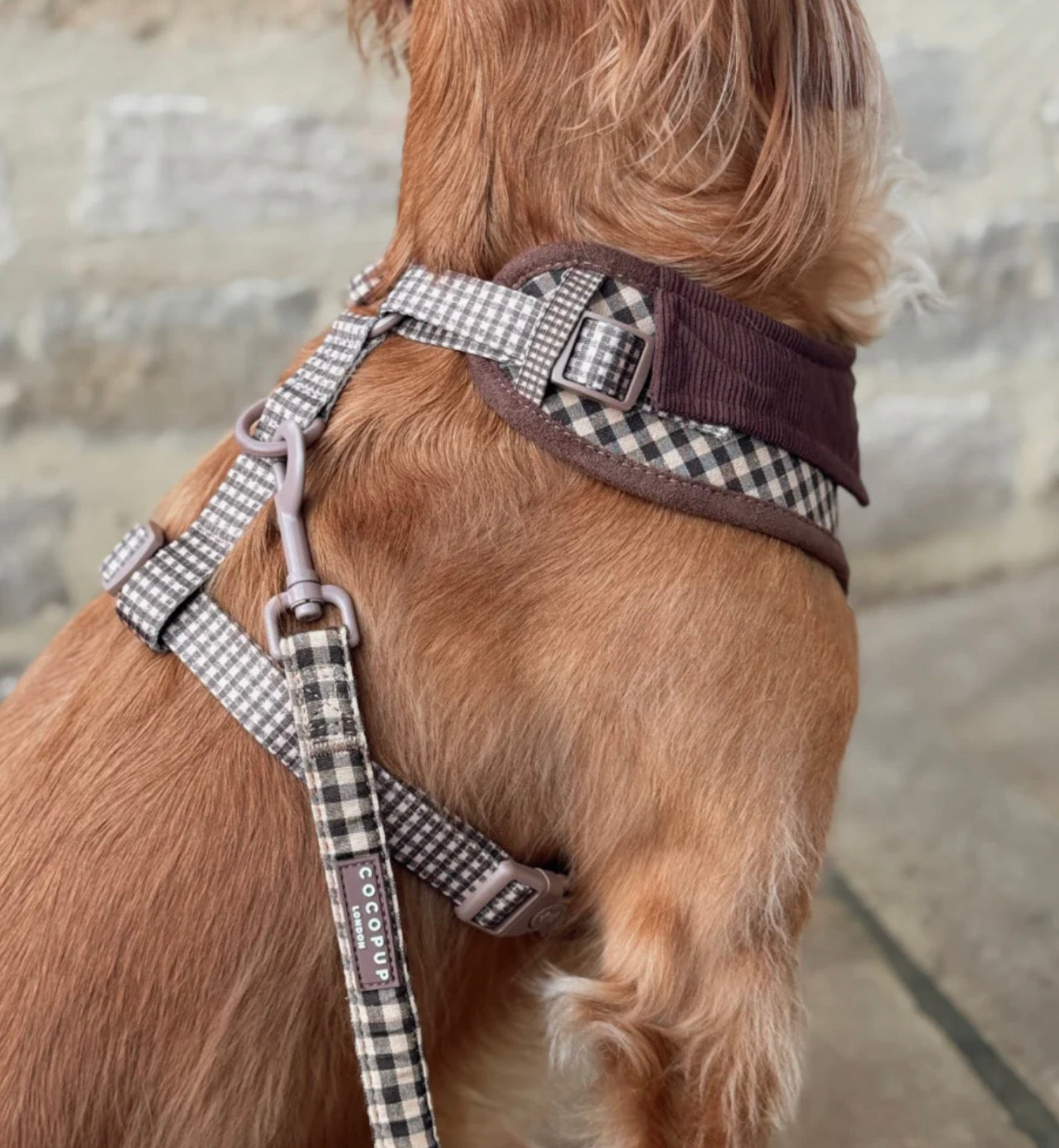 Cocopup London Cotswold Check Adjustable Neck Harness