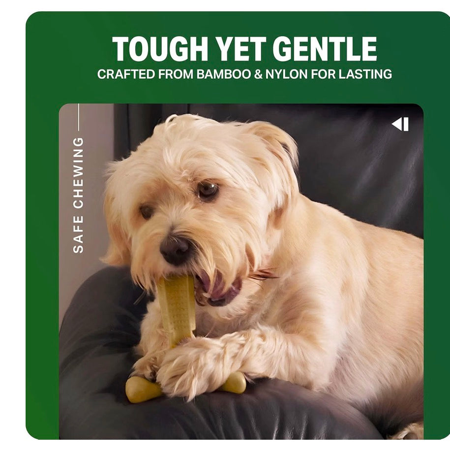 Bamboodles T-Bone Chew Toy Medium Size Chicken Flavour