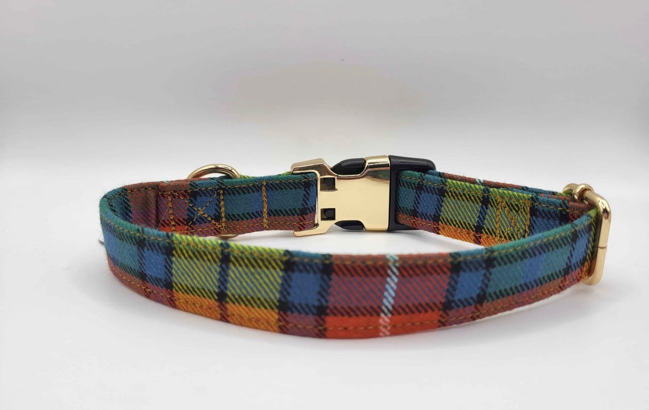 Tartan Terrors Buchanan Tartan Collar